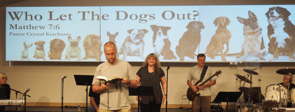 dogs5