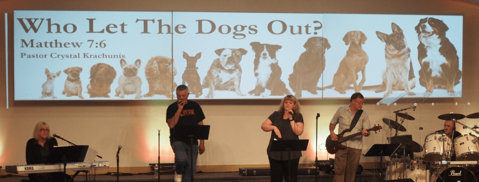 dogs6