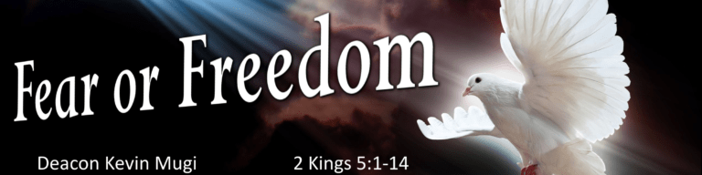 fear and freedom
