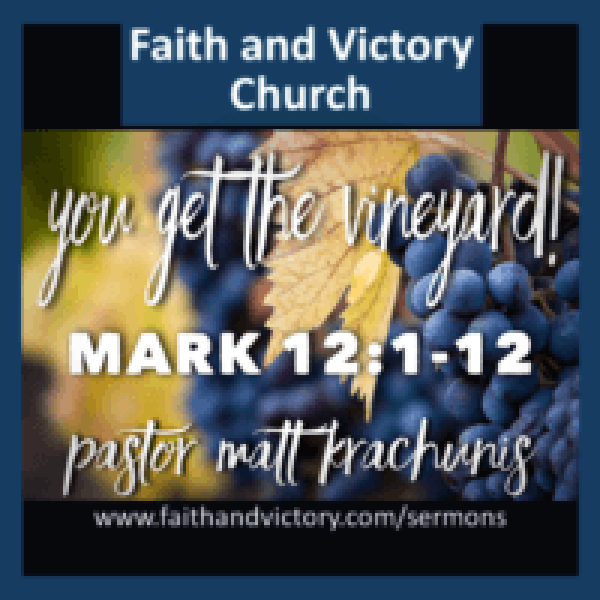You-get-the-vineyard-WS-e1511805888216