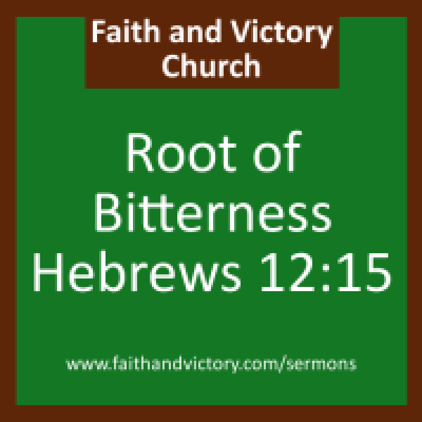 rootofbitterness-e1431558218864