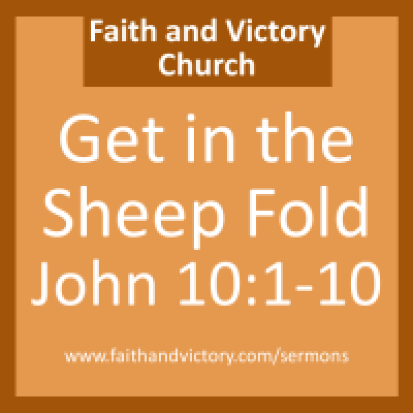 sheep-e1429252466185