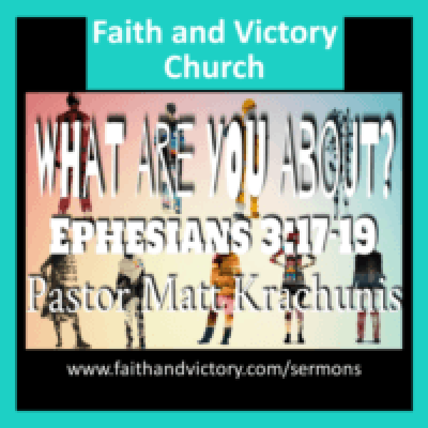 what-are-you-about-WS-e1502756247723