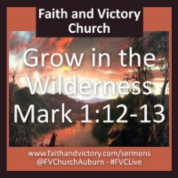 Grown-in-the-Wilderness-website-1