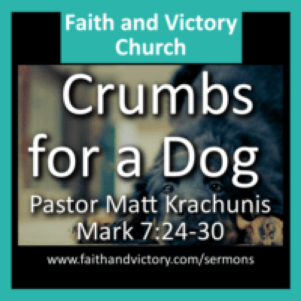 crumbs-for-a-dog-ws-e1490026269351