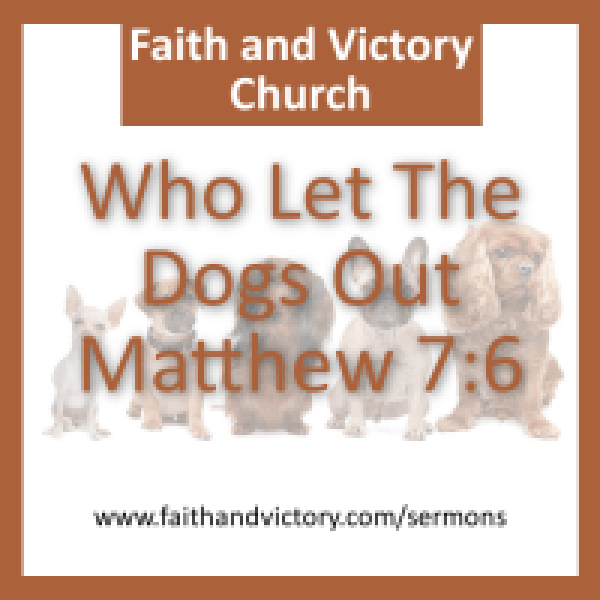 dogs-e1440041245433