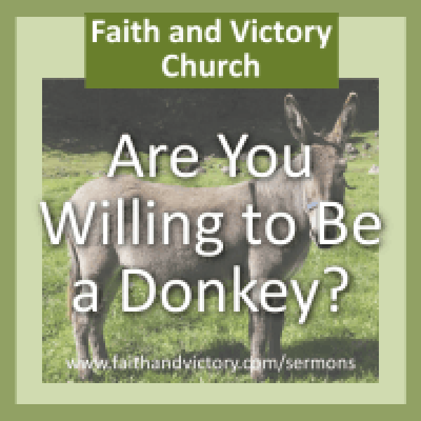 donkey-e1429245540651