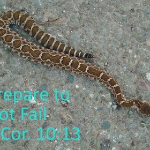 preparetonotfail-280x280