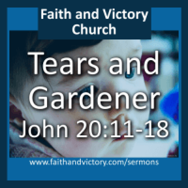 tears-e1437890163366