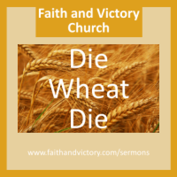 wheat1-e1429251607171