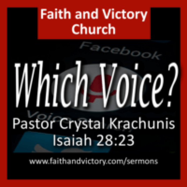 which-voice-ws-e1497964986677