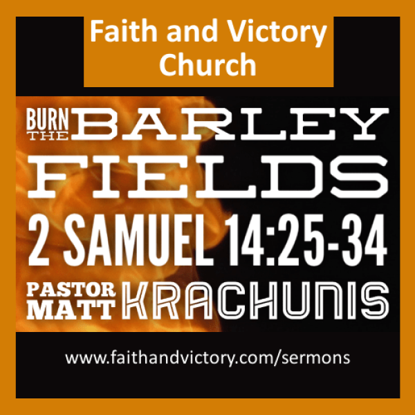 Burn the Barley Fields ws