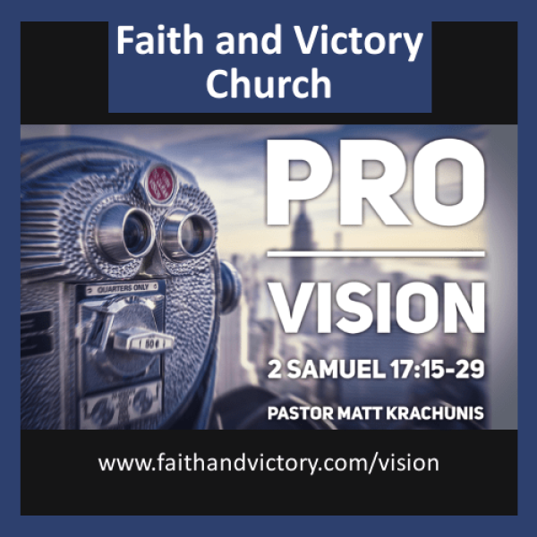 Pro VisionWS