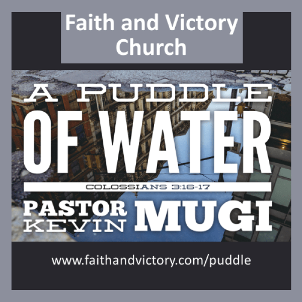 A Puddle of Water WS