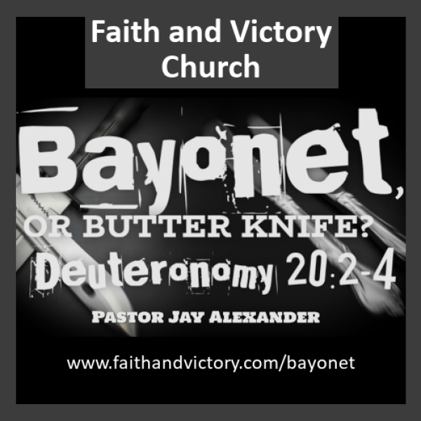bayonet WS