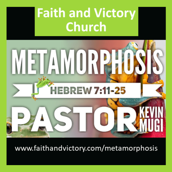 metamorph WS