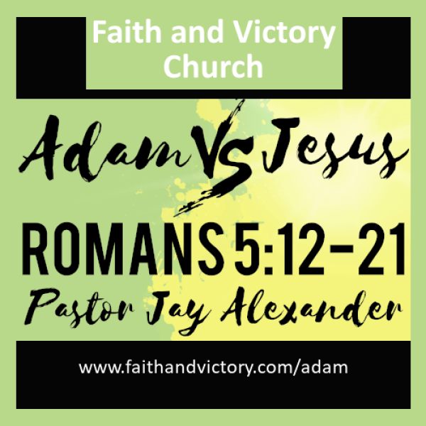 adam ws