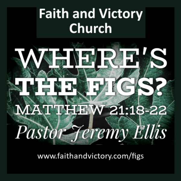 wheres the figs ws