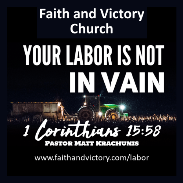 WS Labor