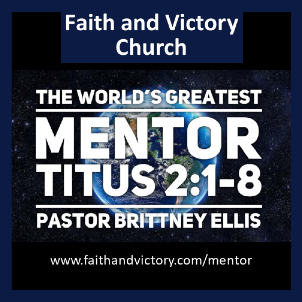mentor ws