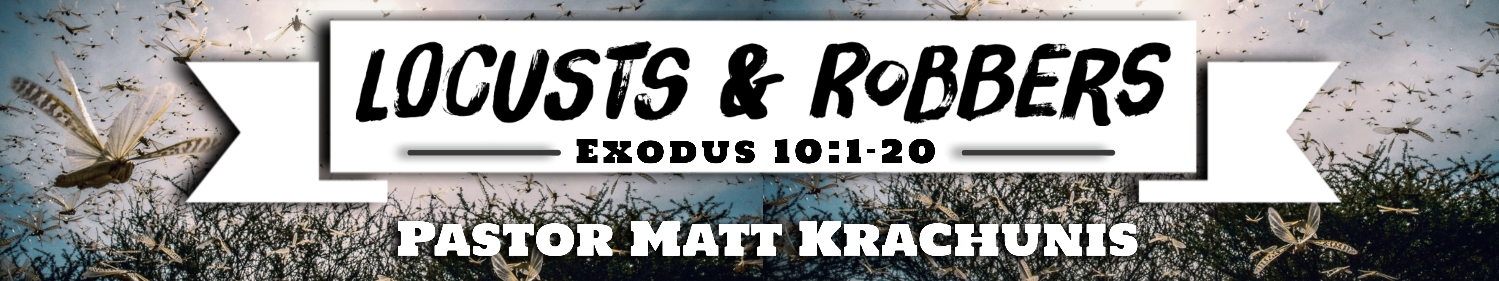 Locusts and robbers