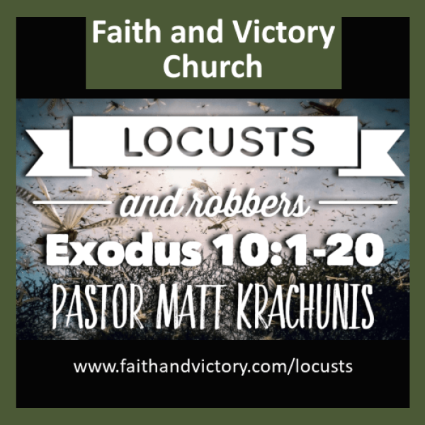 locusts ws