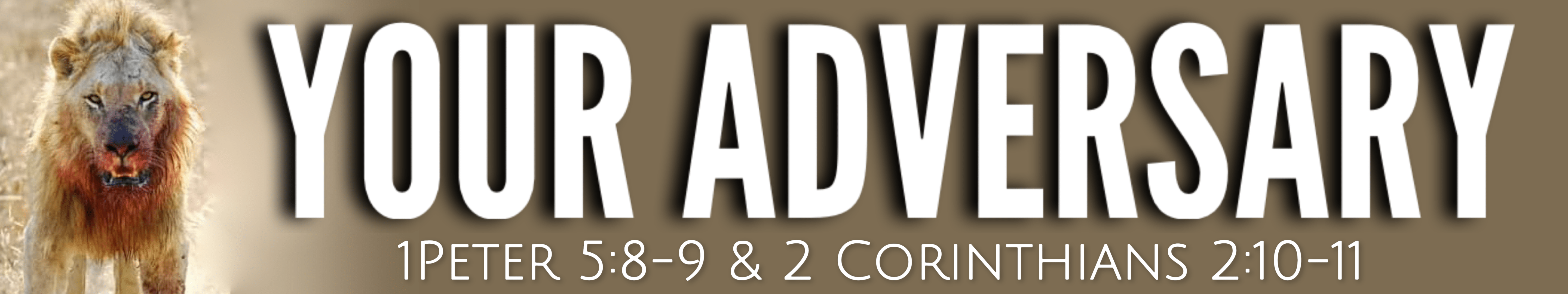Your adversary