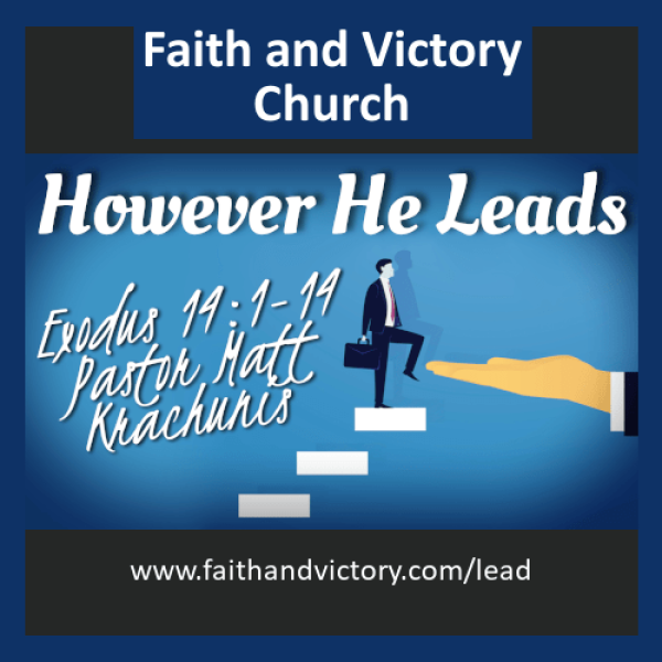 lead ws