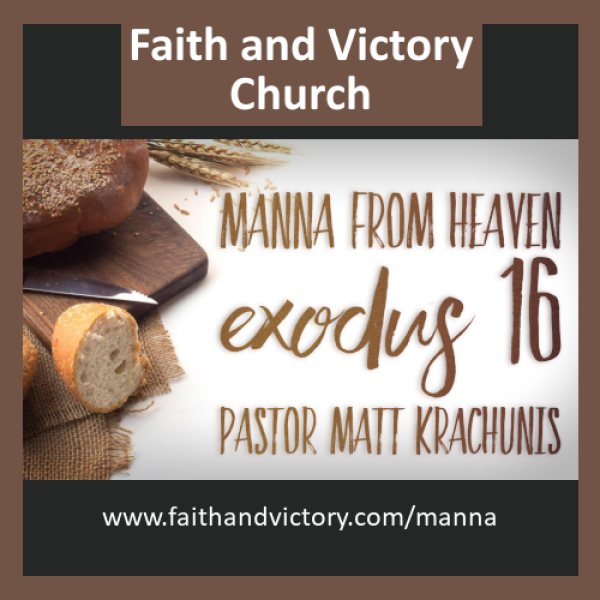 manna WS