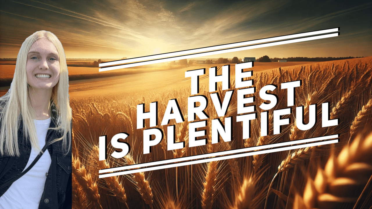 Harvest is Plentiful